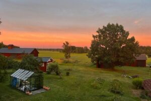 Landschaft mit einem Gewächshaus, roten Bauernhäusern und einer weiten Wiese unter einem bunten Himmel bei Sonnenuntergang.